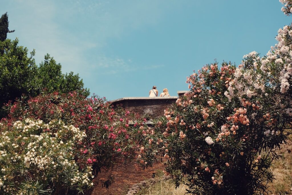 Giardino Giusti view with roses