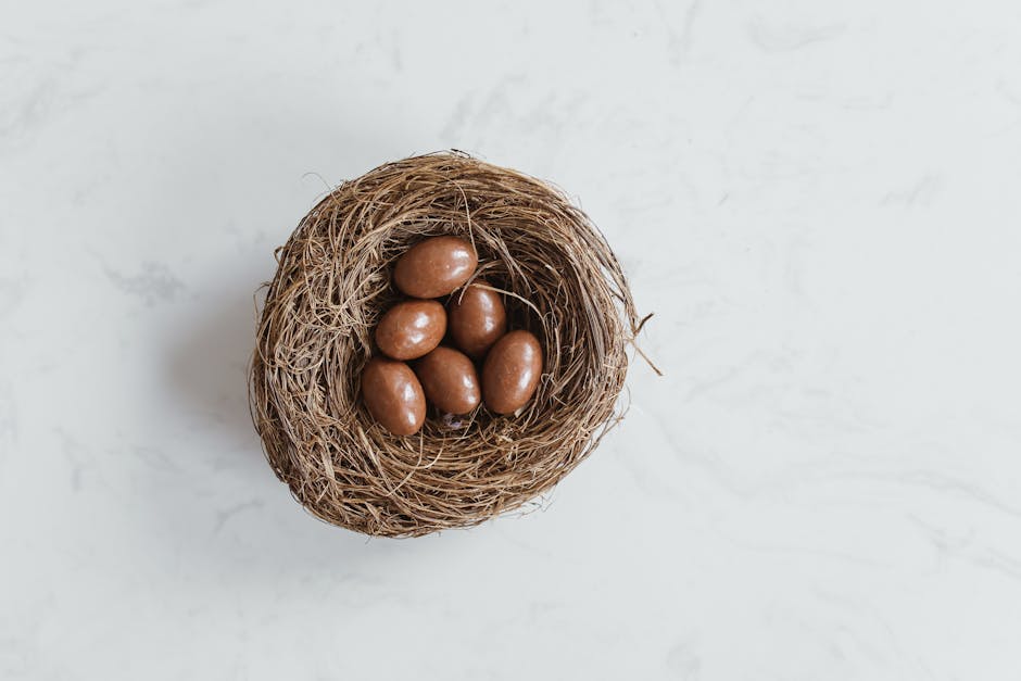 Artisan chocolate Easter eggs Verona shop window