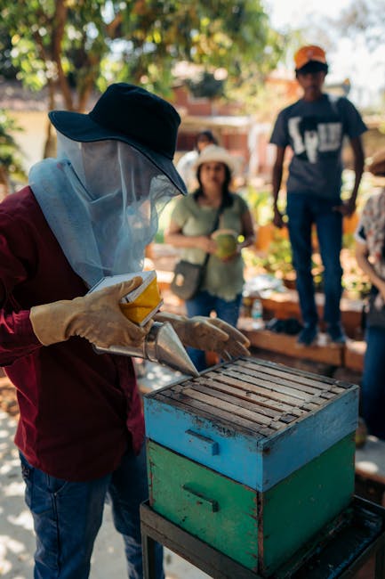 Farm beekeeper teaching children Verona
