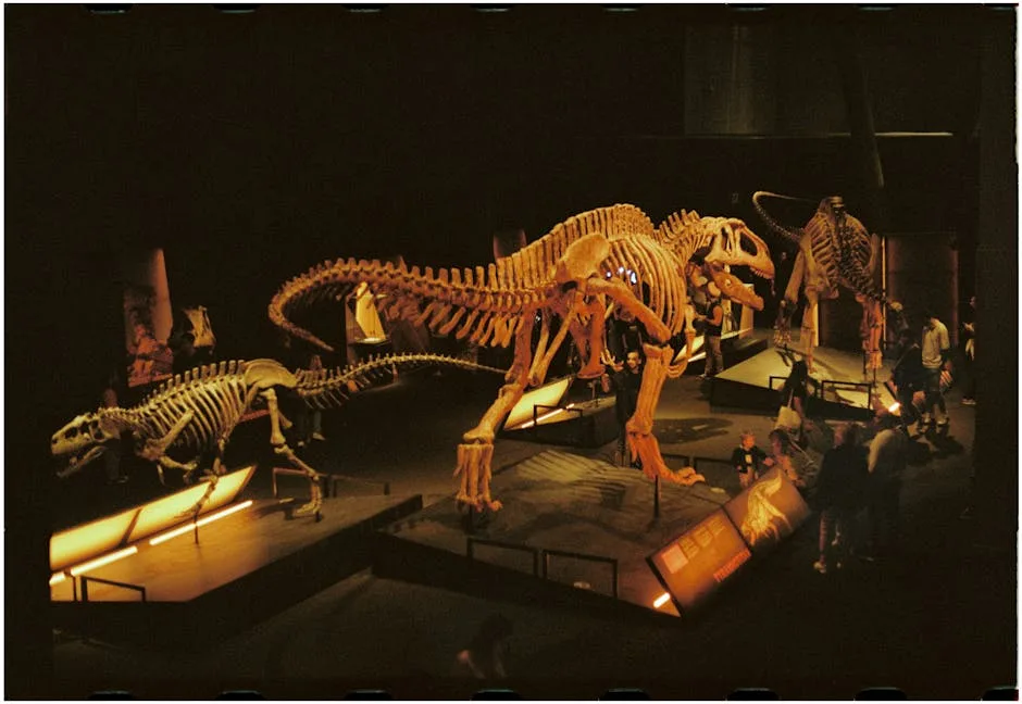 Große Dinosaurierskelette beleuchtet in naturkundlicher Ausstellung in Verona