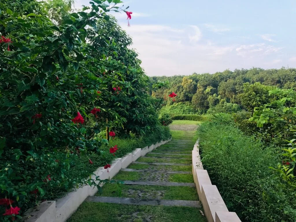 Steinweg durch üppige grüne Gärten mit roten Blüten