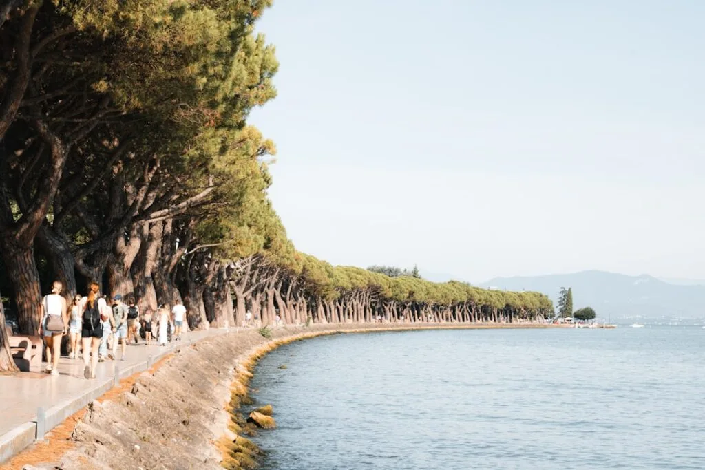 Promenade du lac de Garde bordée de pins et promeneurs