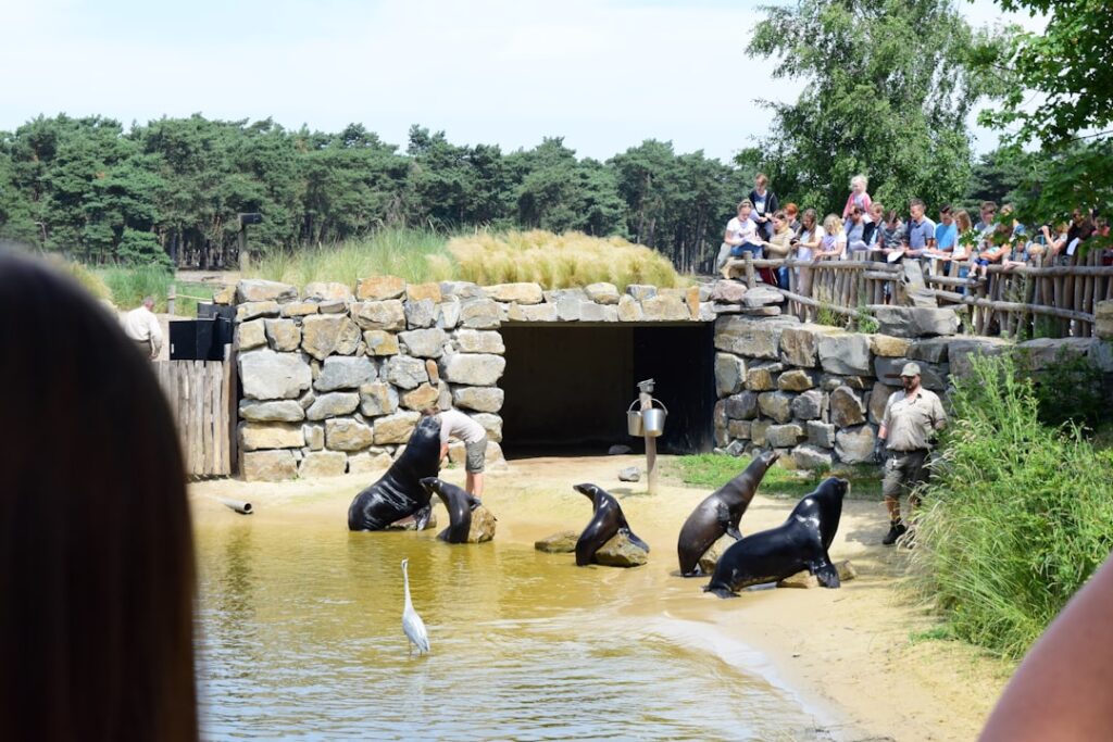 Zoos et fermes p dagogiques Verone travel tourism landmark
